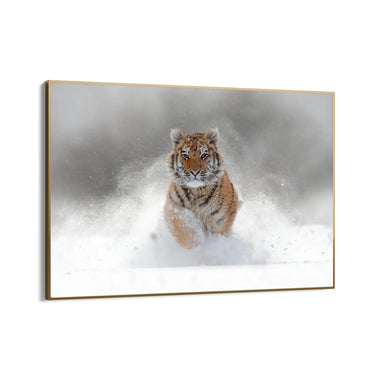 Quadro Stampa su Tela Furia bianca - CupidoDesign