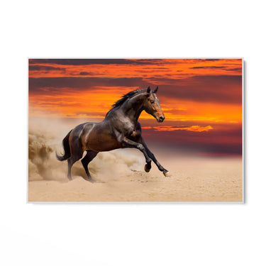 Quadro Stampa su Tela Furia al tramonto - CupidoDesign