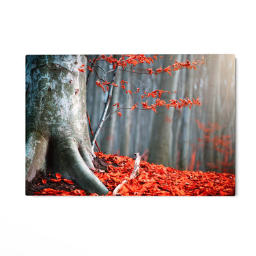Quadro Stampa su Tela Il respiro del bosco - CupidoDesign