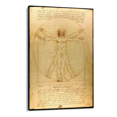 Quadro Stampa su Tela L'uomo Vitruviano, Leonardo da Vinci - CupidoDesign
