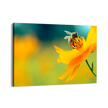 Quadro Stampa su Tela La danza del polline - CupidoDesign