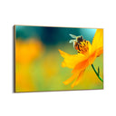 Quadro Stampa su Tela La danza del polline - CupidoDesign
