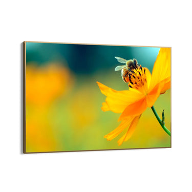 Quadro Stampa su Tela La danza del polline - CupidoDesign