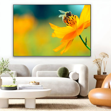 Quadro Stampa su Tela La danza del polline - CupidoDesign