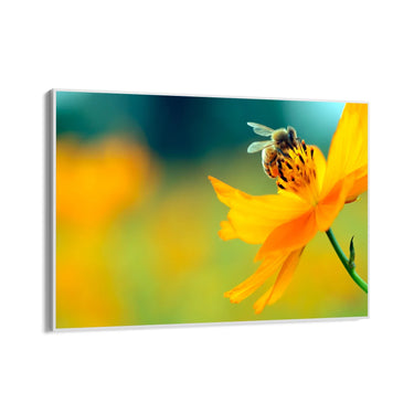 Quadro Stampa su Tela La danza del polline - CupidoDesign