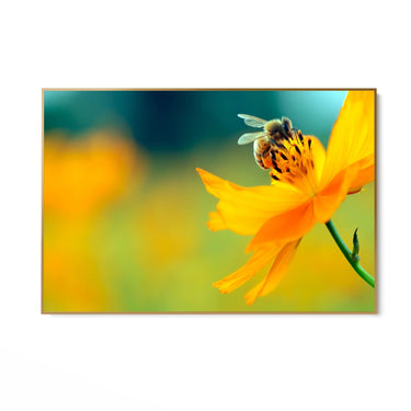 Quadro Stampa su Tela La danza del polline - CupidoDesign