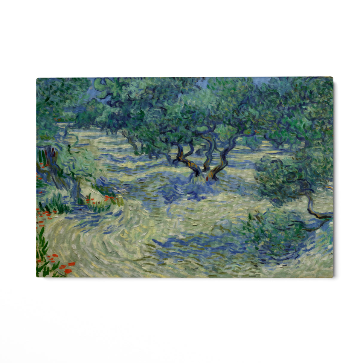 Olive Orchard 1889, Vincent Van Gogh