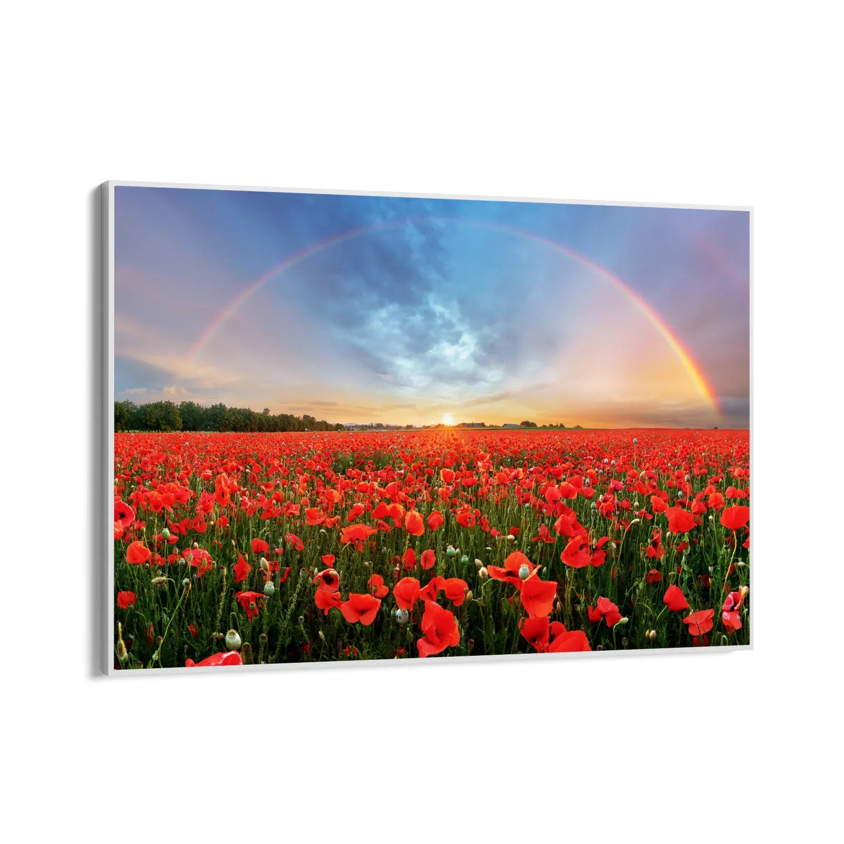 Quadro Stampa su Tela Papaveri dell’infinito - CupidoDesign