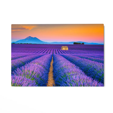 Quadro Stampa su Tela Profumo di infinito, Provenza - CupidoDesign