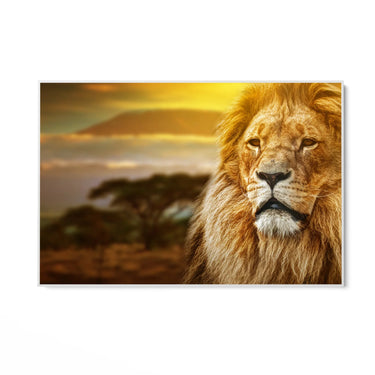 Quadro Stampa su Tela Re del tramonto, Savana - CupidoDesign