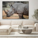 Wild Rhinoceros