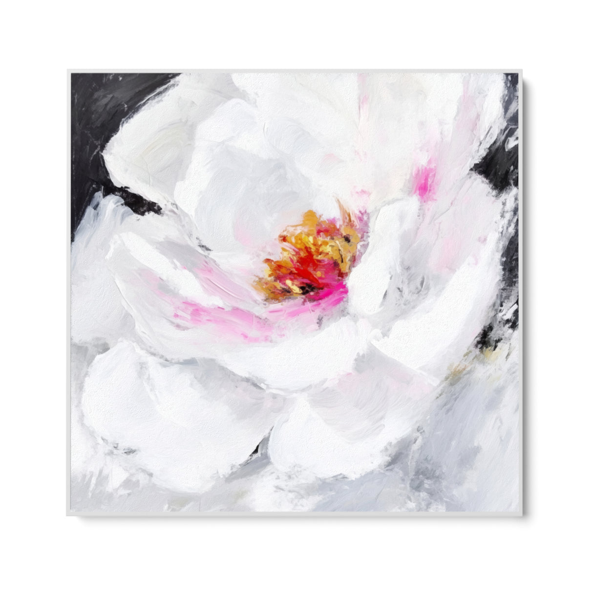 Rosa Accesa