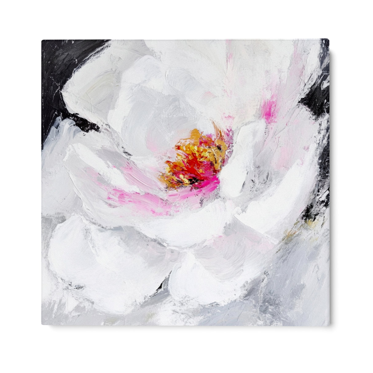 Rosa Accesa