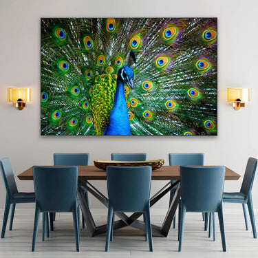 Quadro Stampa su Tela Sinfonia di piume - CupidoDesign