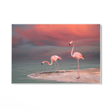 Quadro Stampa su Tela Sogno tropicale - CupidoDesign