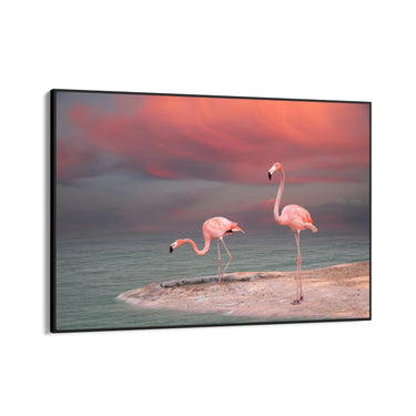 Quadro Stampa su Tela Sogno tropicale - CupidoDesign