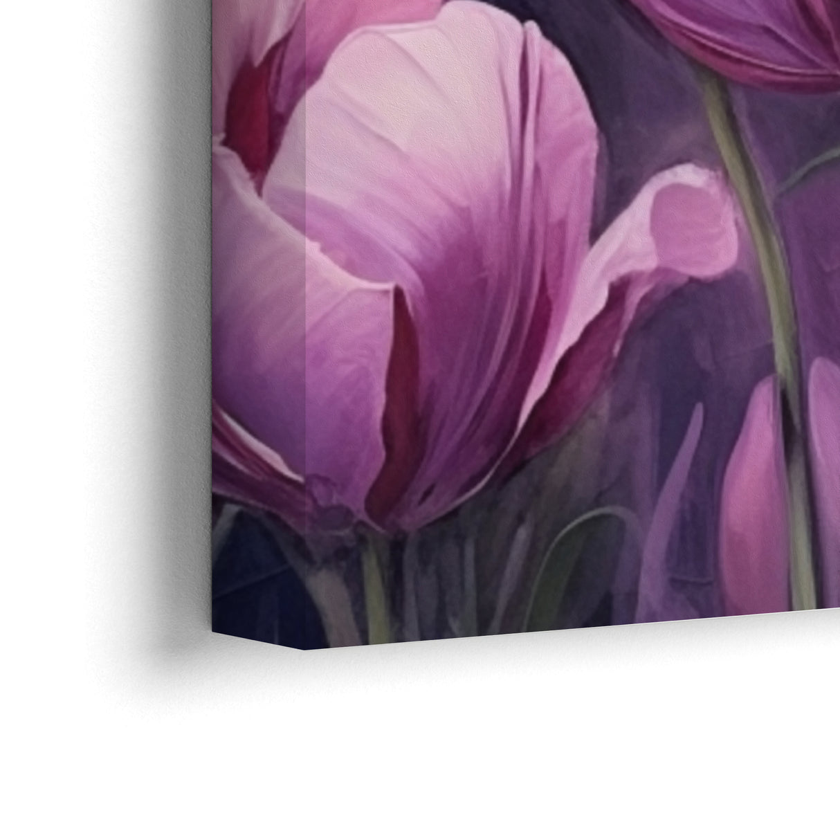 Tulipes violettes