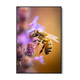 Abeja entre los pétalos