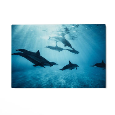 Quadro Stampa su Tela Armonia Acquatica - CupidoDesign