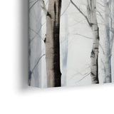 Birches in winter