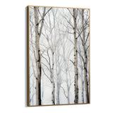 Birches in winter