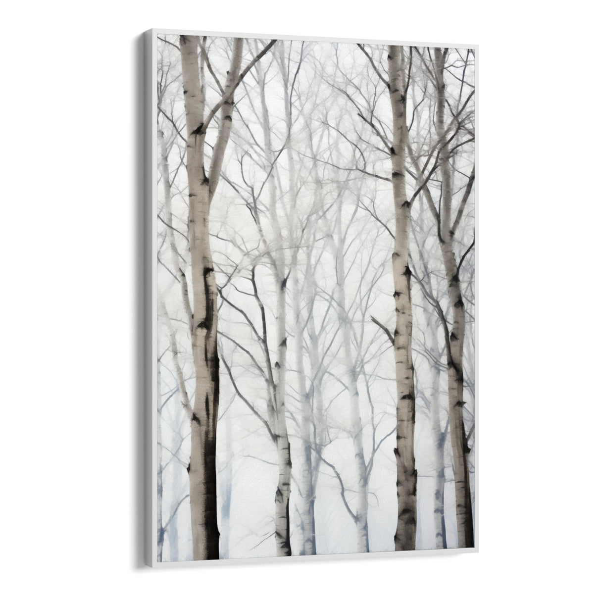 Birches in winter