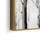 Birches in winter