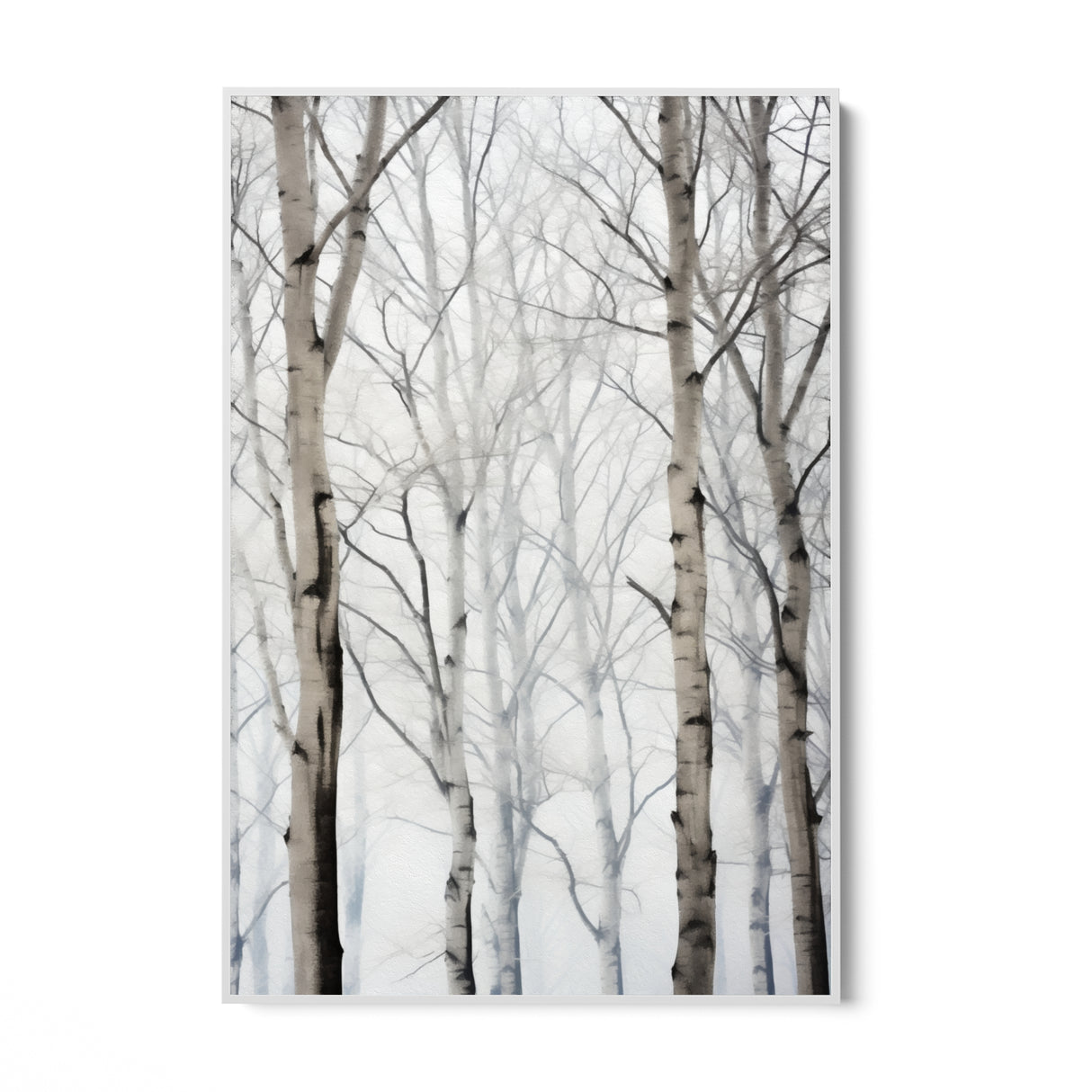 Birches in winter