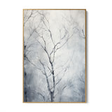 Birches in winter