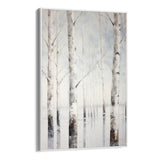 Birches in winter