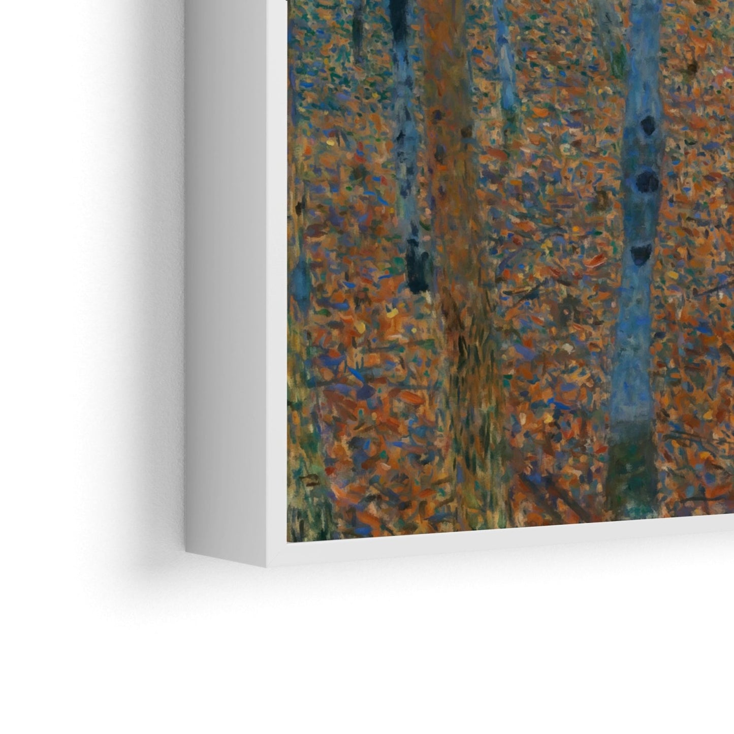 Forêt de bouleaux - Gustav Klimt