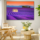 Campi di Lavanda, Valensole - CupidoDesign