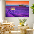 Campi di Lavanda, Valensole - CupidoDesign