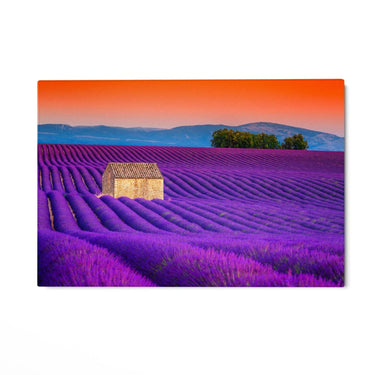 Quadro Stampa su Tela Campi di Lavanda, Valensole - CupidoDesign