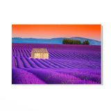 Campi di Lavanda, Valensole - CupidoDesign