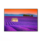 Campi di Lavanda, Valensole - CupidoDesign