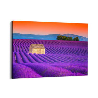 Quadro Stampa su Tela Campi di Lavanda, Valensole - CupidoDesign