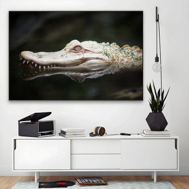 Quadro Stampa su Tela Canti degli Alligatori - CupidoDesign