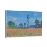 Capo di Papaveri, Claude Monet - CupidoDesign