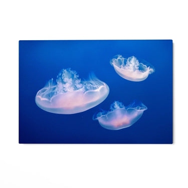 Quadro Stampa su Tela Fuga delle Meduse - CupidoDesign