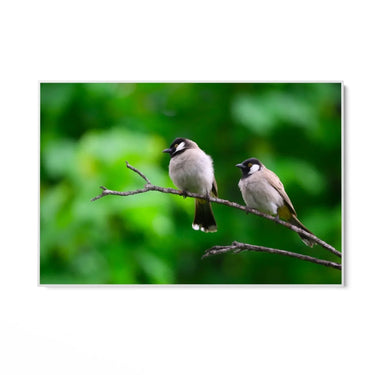 Quadro Stampa su Tela Fuga di Piume - CupidoDesign