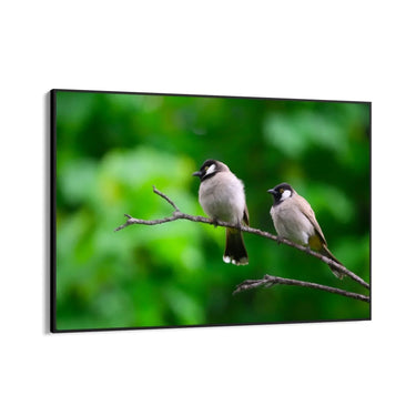 Quadro Stampa su Tela Fuga di Piume - CupidoDesign