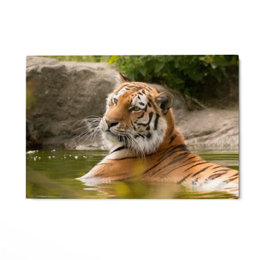 Quadro Stampa su Tela Giardini della Tigre - CupidoDesign
