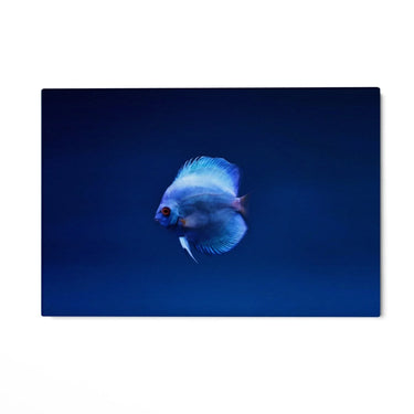 Quadro Stampa su Tela Incontro Blu - CupidoDesign