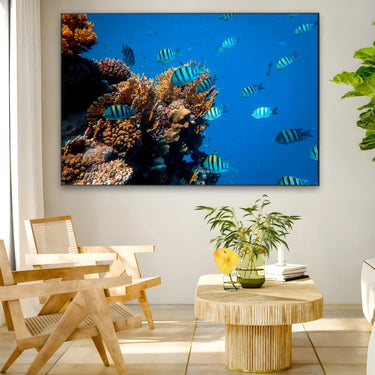 Quadro Stampa su Tela Incontro Corallino - CupidoDesign