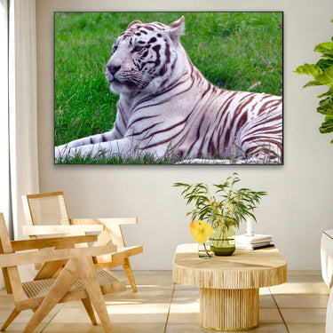 Quadro Stampa su Tela Incontro Felino - CupidoDesign