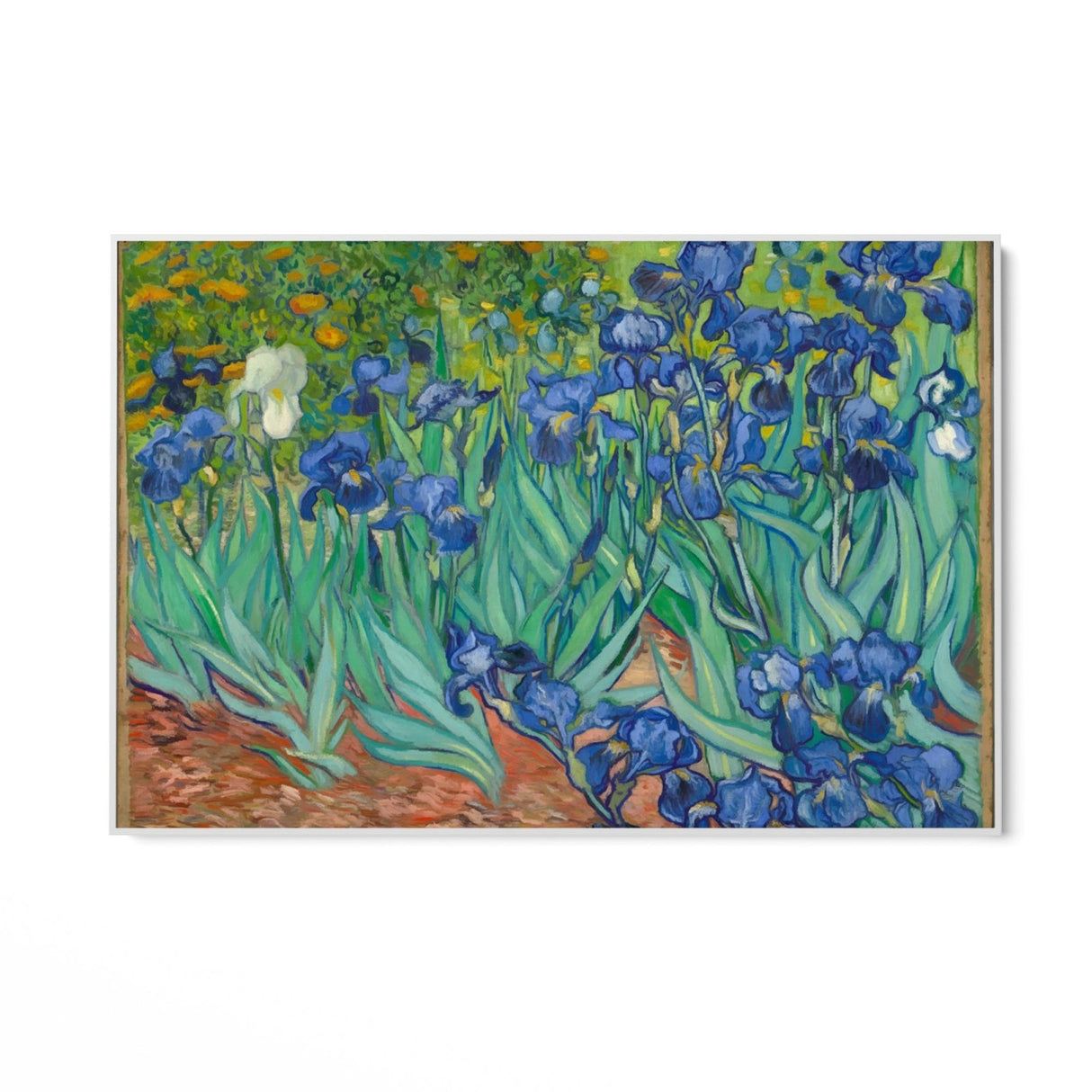 Irises 1889, Vincent Van Gogh