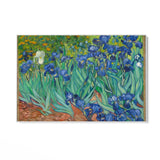 Iris 1889, Vincent Van Gogh