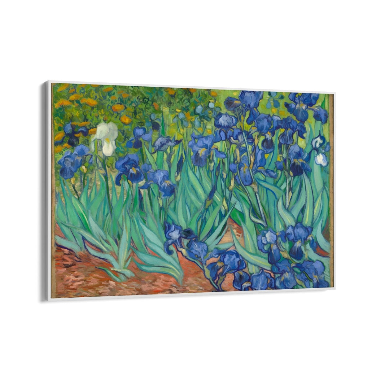 Irises 1889, Vincent Van Gogh