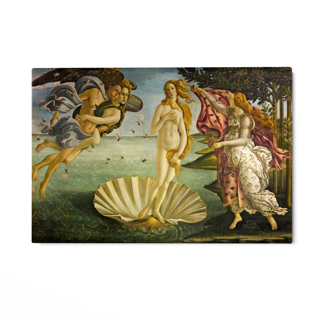 La nascita di venere, Sandro Botticelli - CupidoDesign